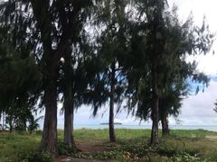 -美国纪念公园