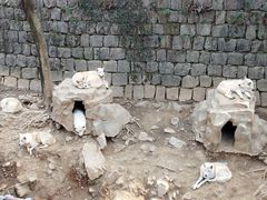 -杭州长乔极地海洋公园
