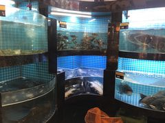 水产区-千岛湖小鱼儿·淳安匠心农家菜