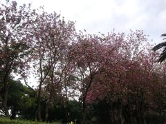 -南宁南湖公园