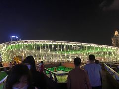 -深圳市宝安体育中心体育场