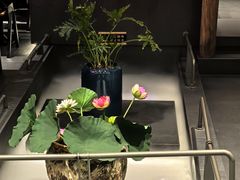 -单家老院·院子里的青岛菜(沙子口店)