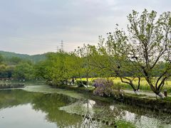 -八卦田遗址公园