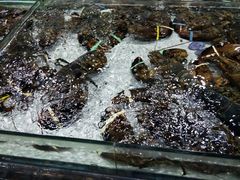 -渔傅·蓝海岸霞浦海鲜(正祥店)