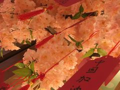 -重庆南山海昌汤都