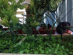 -风致肯麦基(忠信店)