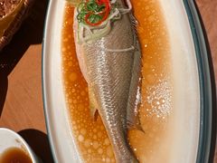 -波螺油子青岛本帮菜(银座店)