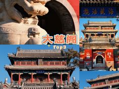 -莲池书院博物馆