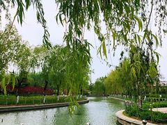-康庄公园