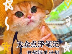 -瑞虹新天地月亮湾