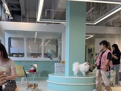 -怪兽屋·羊驼·猫咖·狗咖(俊华广场店)