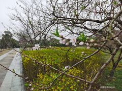 -阳澄湖半岛旅游度假区
