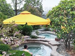 -西安华清御汤酒店