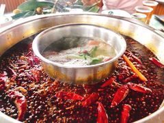 -枇杷园食为鲜火锅(南山店)