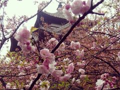 -西安青龙寺遗址景区