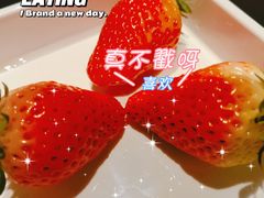 -北京海德酒店温泉