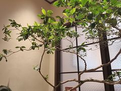 -有记家厨(后龙西街店)