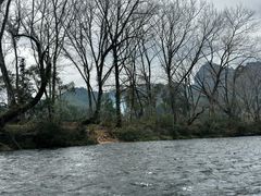 -九曲溪竹筏码头