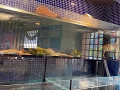 -万鱼亭 日本料理(无锡香山名园店)