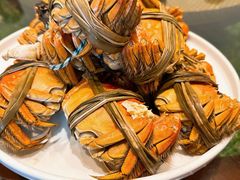 -小小饭店·休闲农庄·安吉松树林里的农家菜
