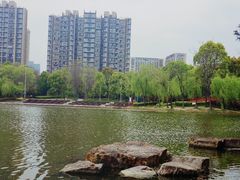 -南翔镇银翔湖公园
