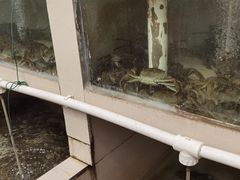 -水岸居湖景农家乐·阳澄湖大闸蟹