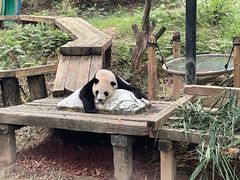 -广州长隆野生动物世界