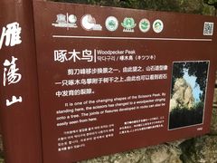 -雁荡山风景名胜区-小龙湫