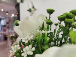 -杨丹国际美学肌研所