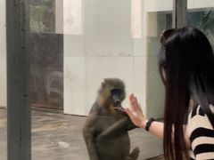 -西安秦岭野生动物园