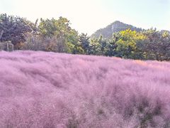 -昆嵛山石门里景区