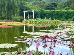 -国家植物园南园