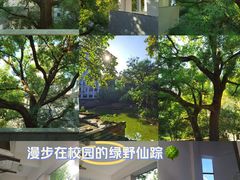 -湖北美术学院(昙华林校区)