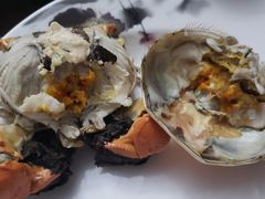 -黄记大闸蟹专卖店·活蟹·醉蟹