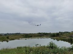 -空港花田景区