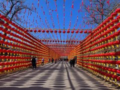 -北京凤凰岭