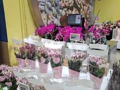 -盒马X会员店(上海森兰商都店)