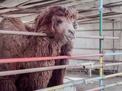 -南宫五洲植物乐园