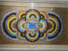 -上海昆虫博物馆