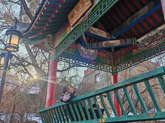 -北山公园
