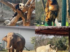 -宁波野生动物园