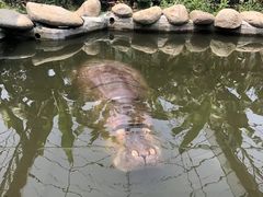 -宁波野生动物园