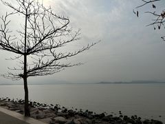 -深圳湾公园(南山区)