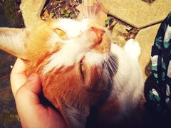 -安徽工业大学(秀山校区)