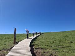 -芦芽山旅游度假区