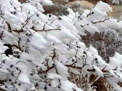 -崂山巨峰游览区