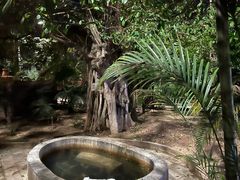 -龙达温泉生态城