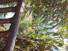 -福建土楼(南靖)景区