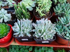 -北国超市(天河店)