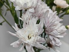 -江南西(地铁站)